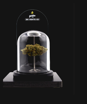 Cloche de Presentation
