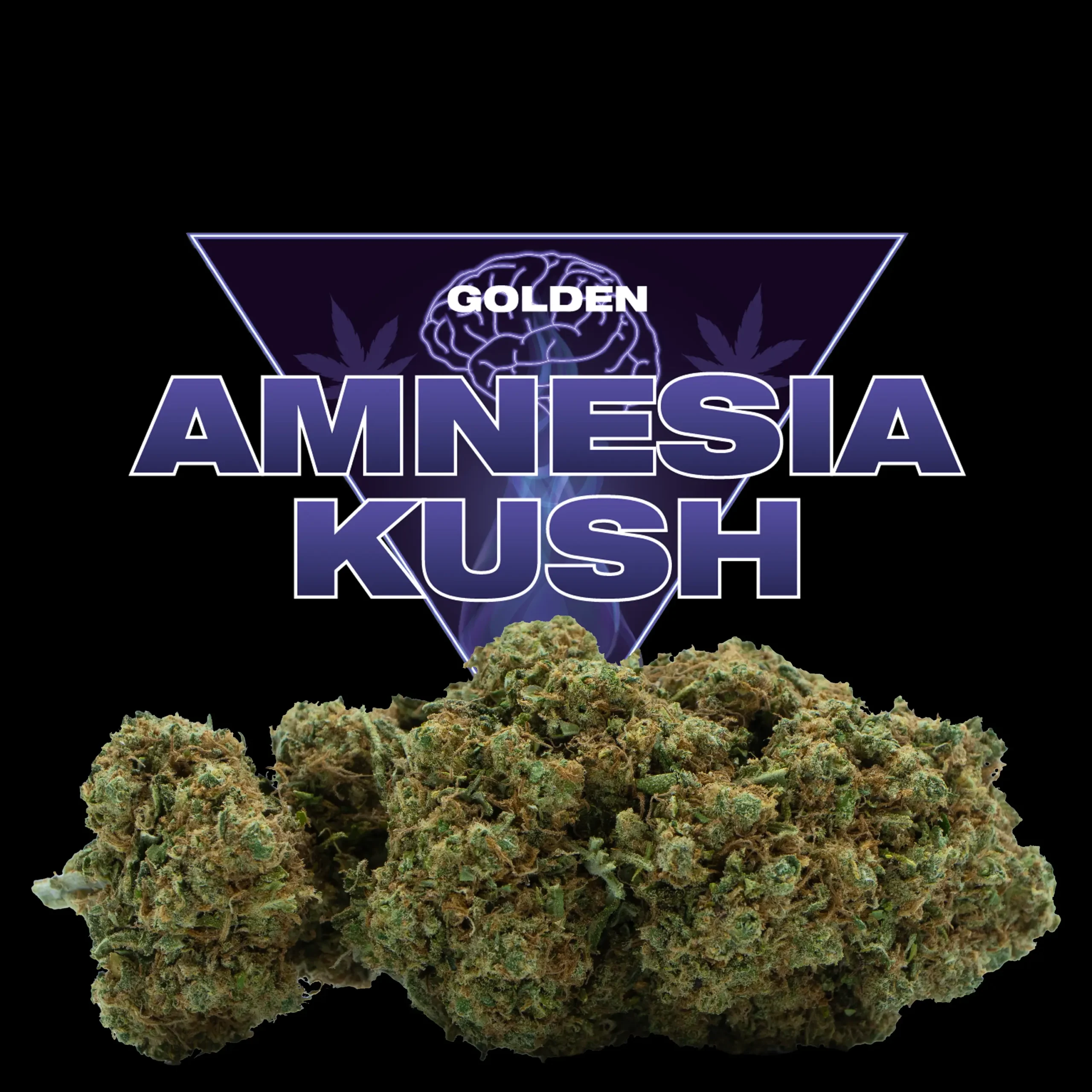 Amnesia Kush