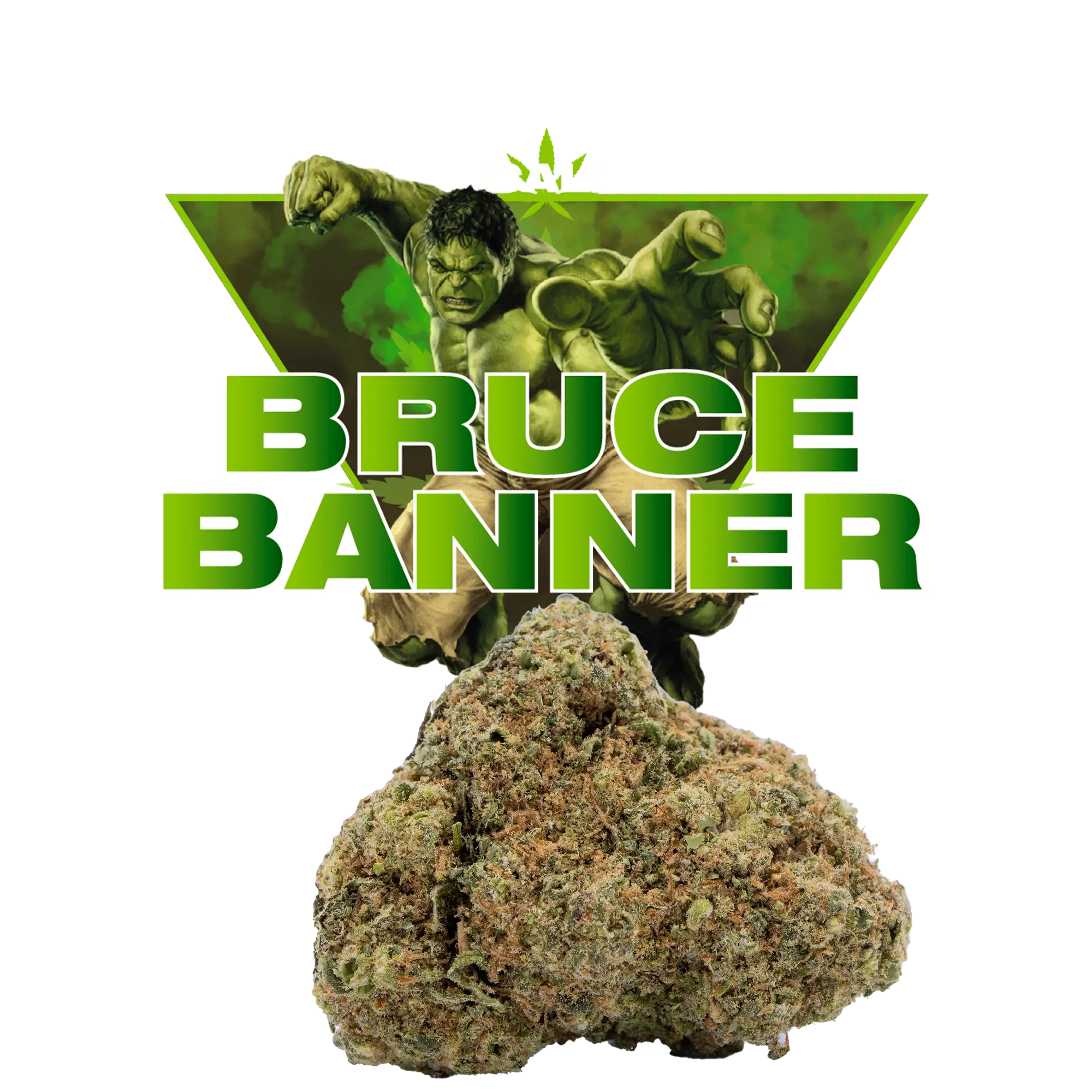 Bruce Banner