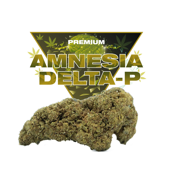 Amnesia DP
