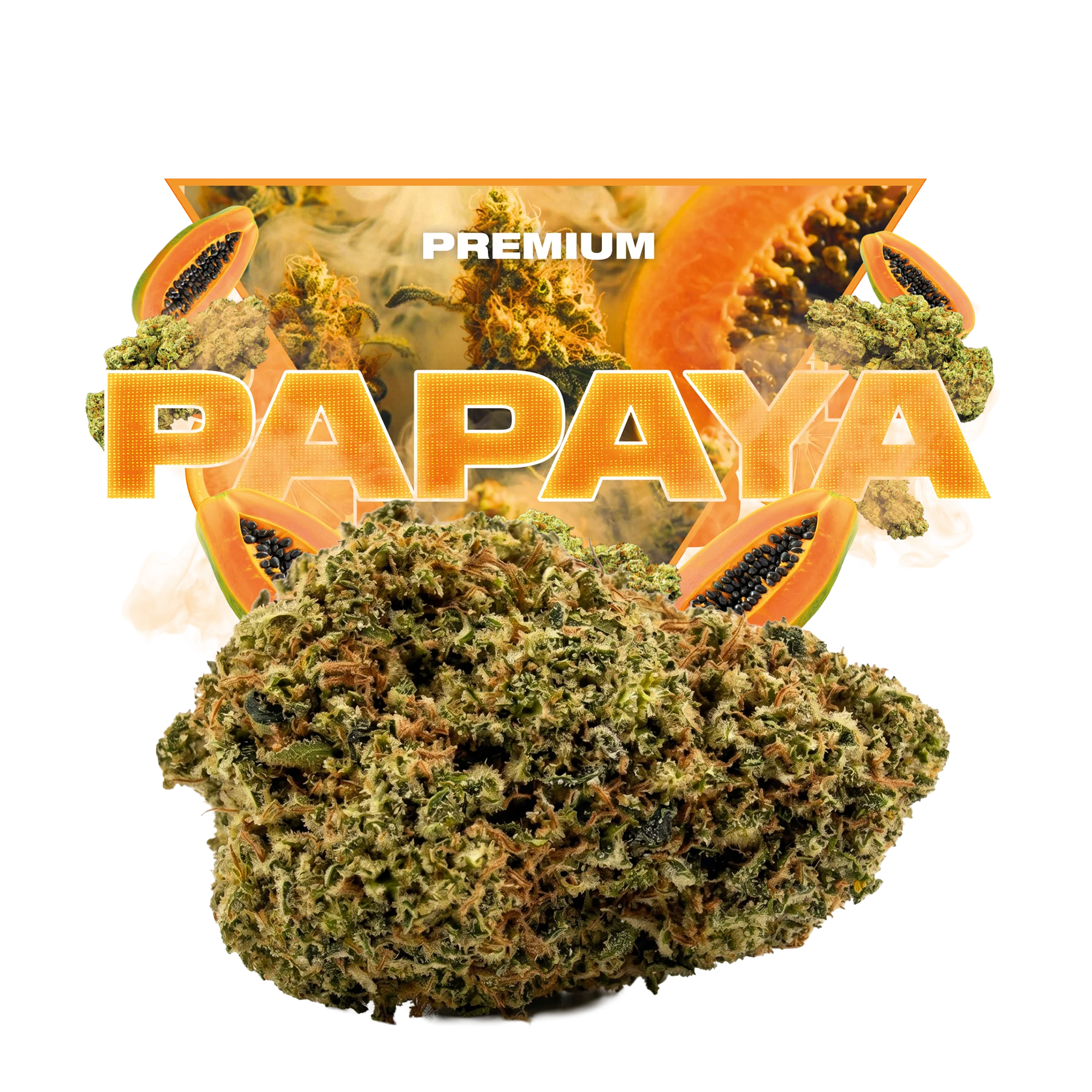 Papaya Indoor