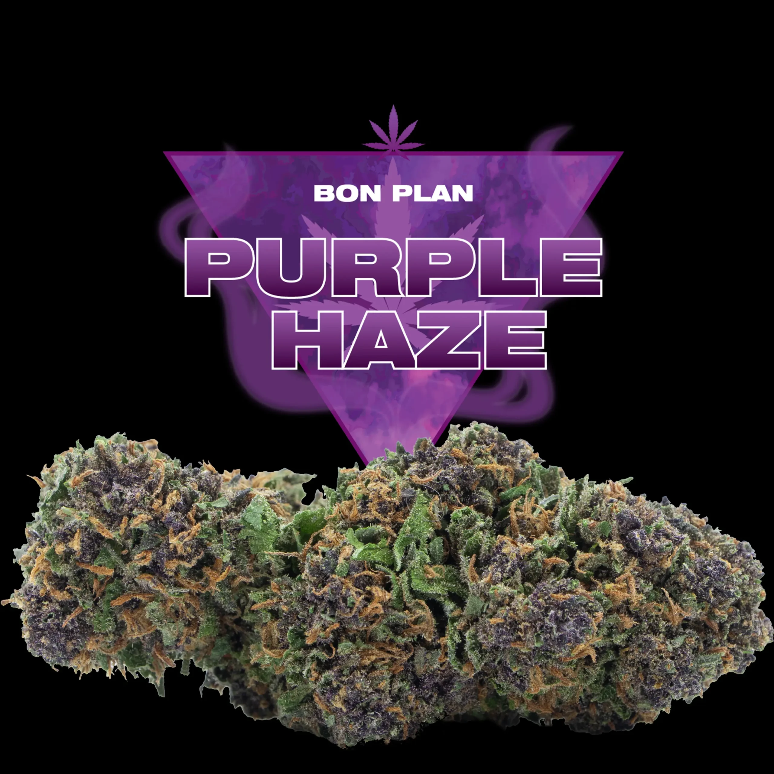Purple Haze