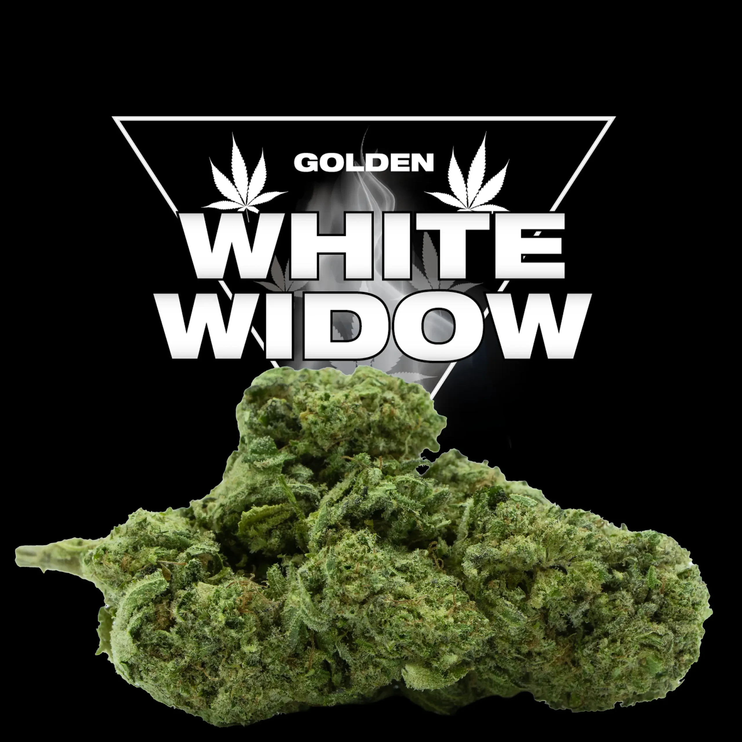 White Widow
