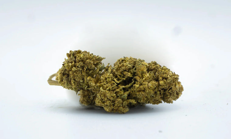 Jack Herer Funky