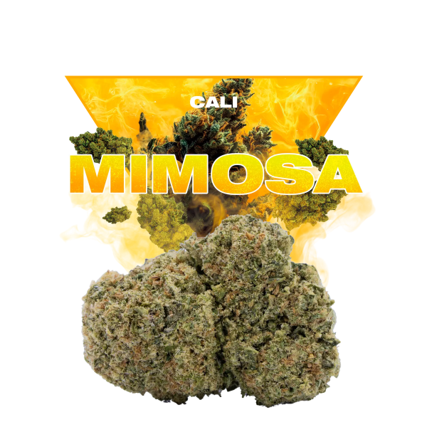Mimosa