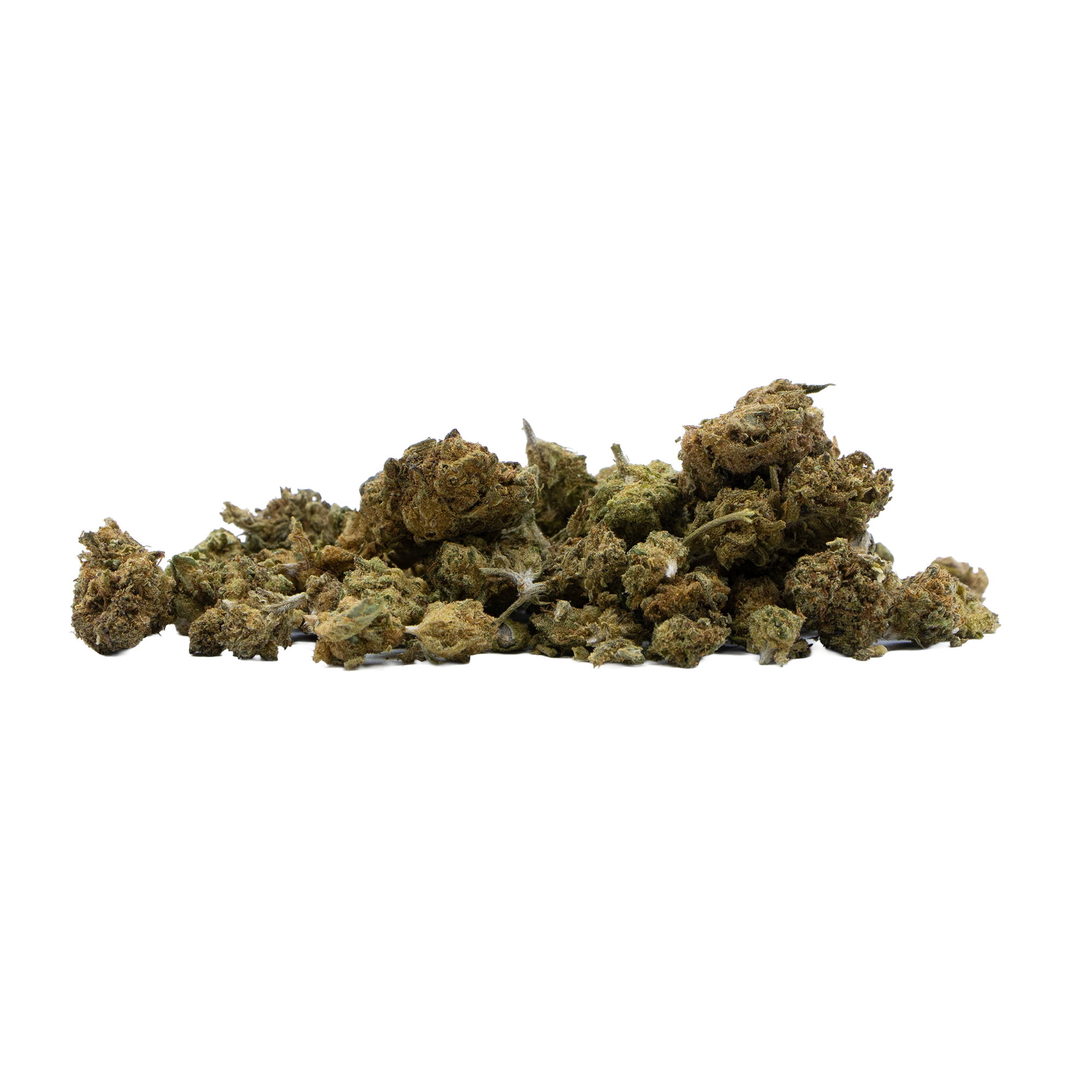 Popcorn Kush