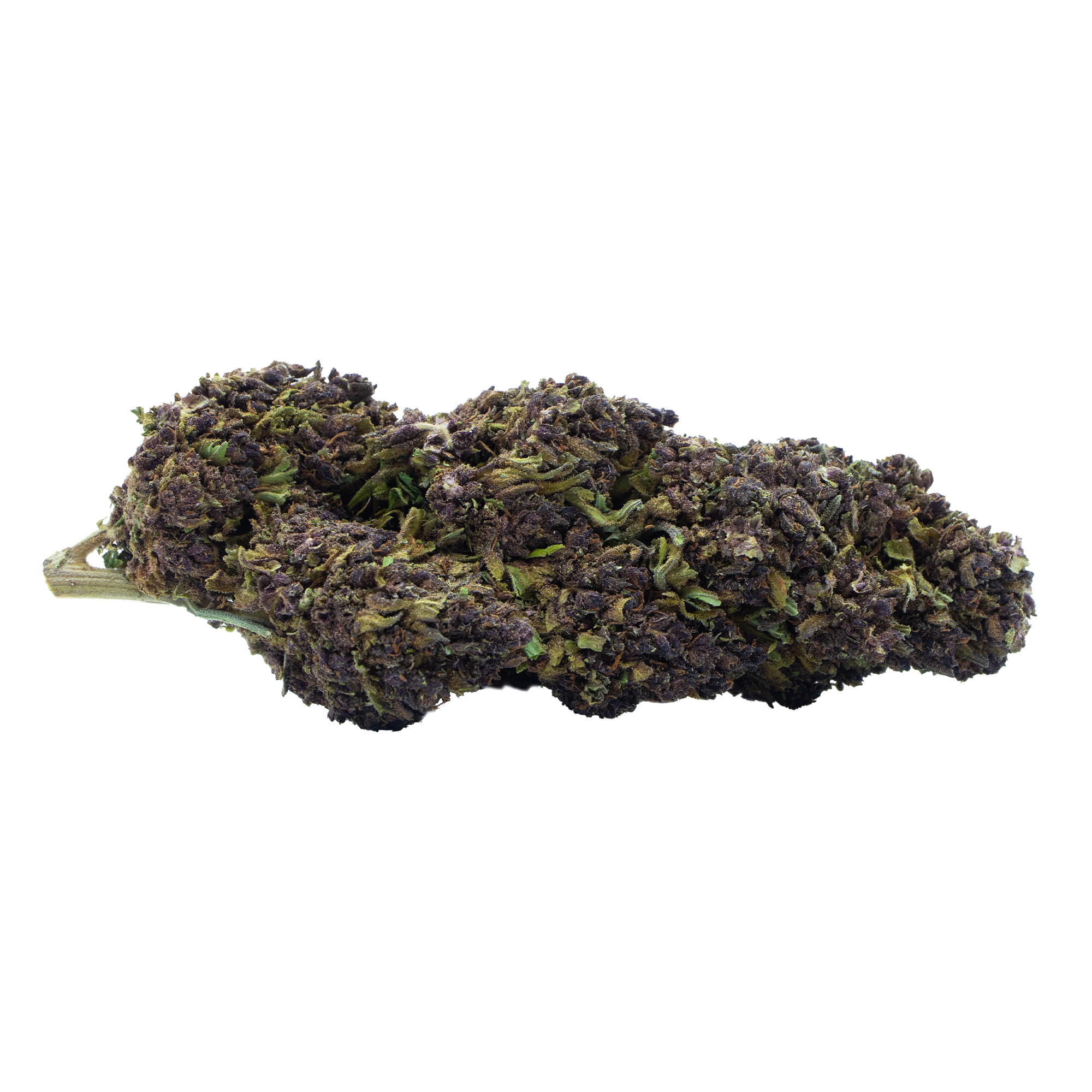 Purple Funky